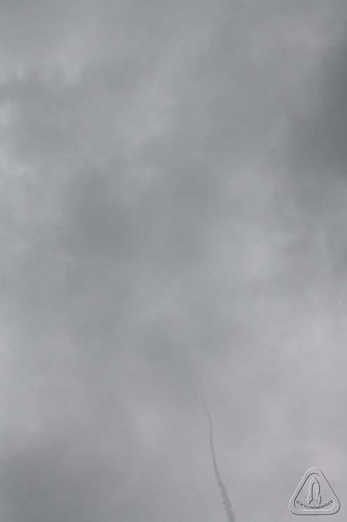 2013 Svojek Mirek Topinka